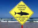 look out for sharks